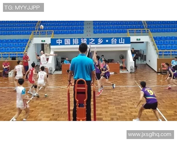 南京排球队的团队协作揭秘：排球巨献背后的默契与拼搏精神